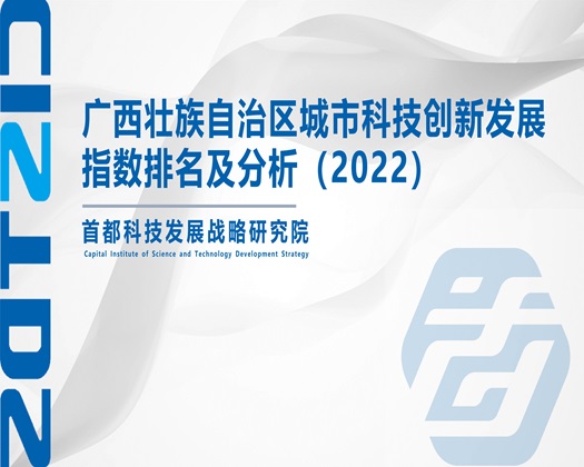 添女人的屄【成果发布】广西壮族自治区城市科技创新发展指数排名及分析（2022）